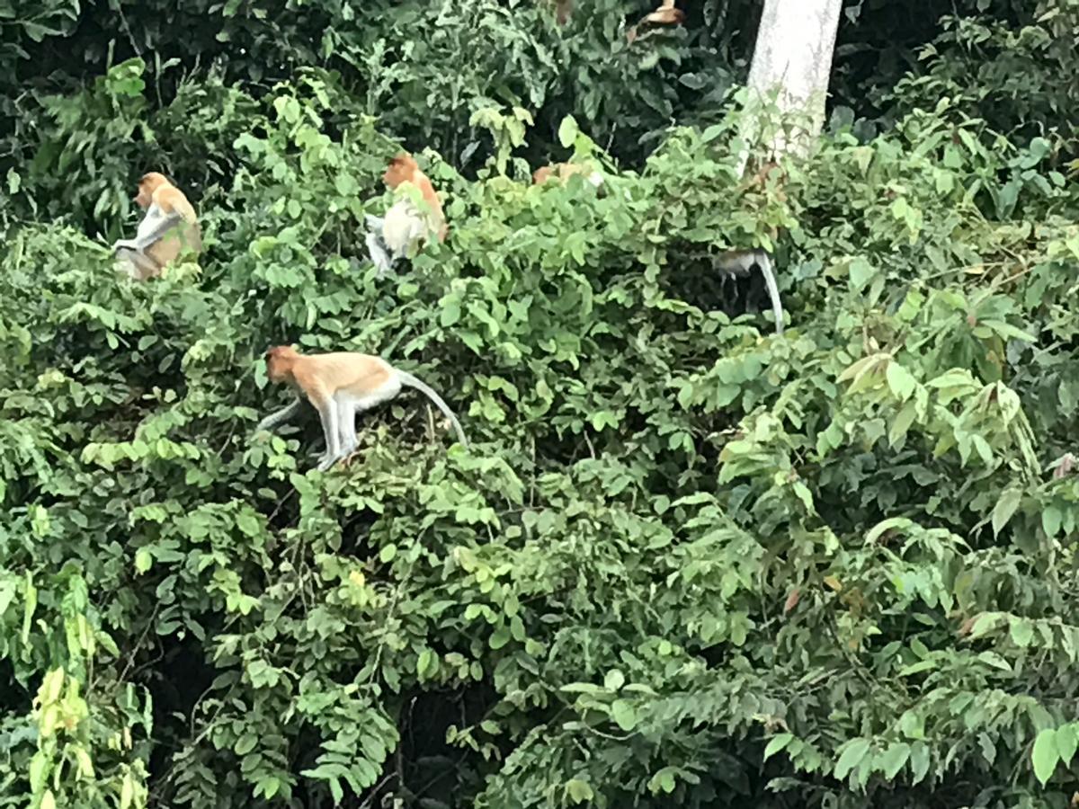 Hood Pansiyon Kota Kinabalu Dış mekan fotoğraf